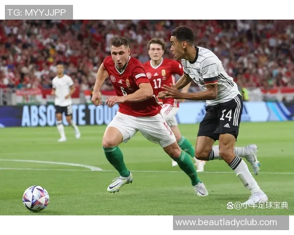 波黑对阵芬兰精彩赛事视频回顾与分析